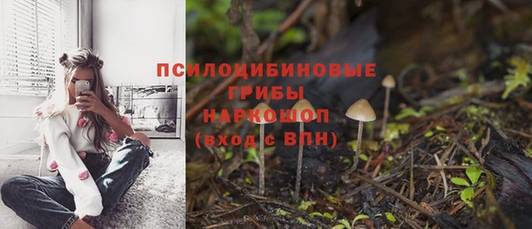 стафф Алзамай