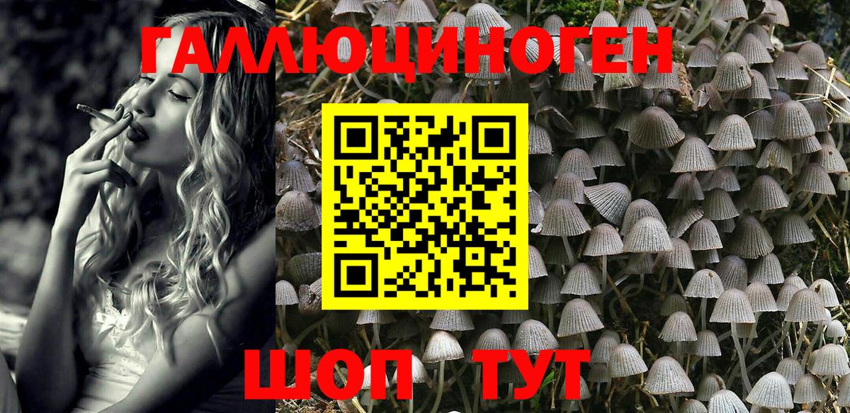 Боровичи  Псилоцибиновые грибы прущие грибы  Вход с VPN 